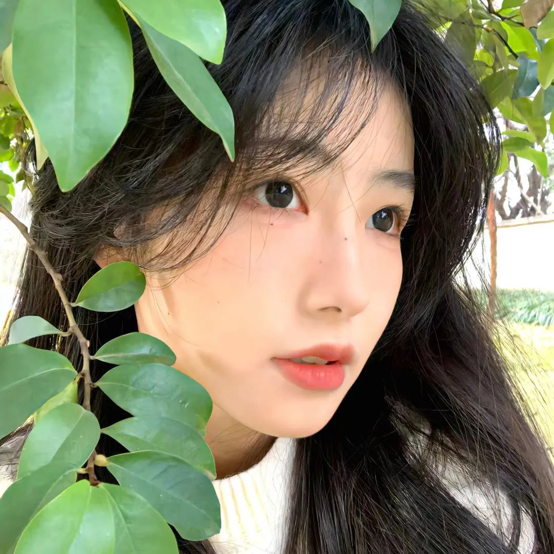 西力传